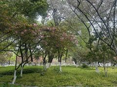 -范蠡湖公园