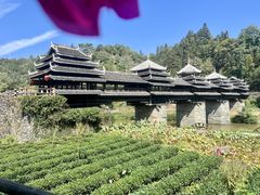 -程阳八寨景区