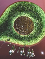 -花隐·美芙炫海菲秀皮肤管理中心