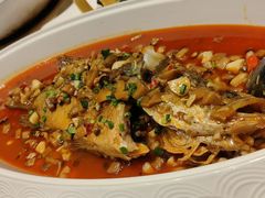 -华膳楼·安徽地标美食·中华餐饮名店(文化公园店)
