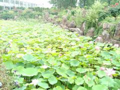 -南通洲际绿博园