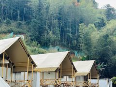 -江西阳明山国家森林公园