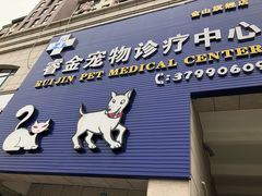 -睿金宠物医院·CT·肿瘤·骨外科