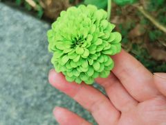 -白塘生态植物园