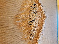 -长沙富力万达文华酒店