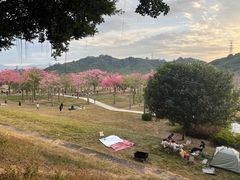 -风云岭森林公园