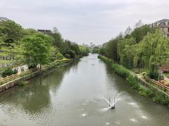 -新江湾城公园