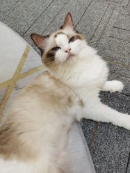 -元一肌肤管理中心