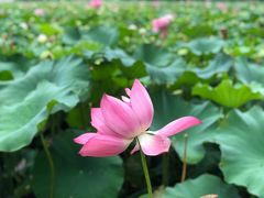 -黄兴公园