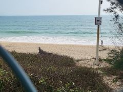 -西涌国际滨海旅游区