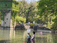 -紫霞湖公园