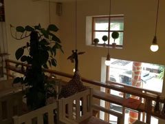 大堂-长颈鹿咖啡(大学路店)