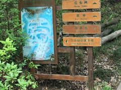 -伯先公园