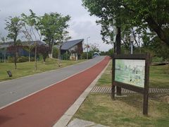 -上海长兴岛郊野公园