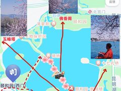 -颐和园