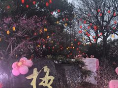-无锡梅园公园