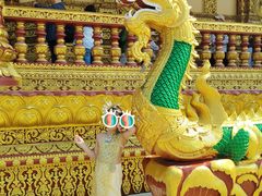 -西双版纳勐泐文化旅游区