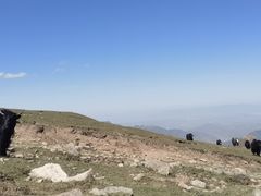 -灵山