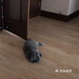 无法在深圳生存下去的两大原因