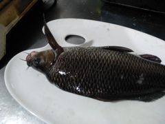 -大妙火锅·非物质文化遗产(东湖公园店)