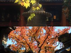 -灵谷景区