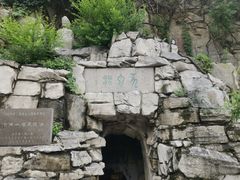 景点-千佛山风景名胜区
