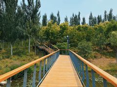 -东郊湿地公园