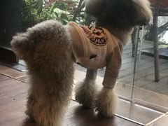 -默迹咖啡馆