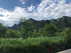 -关山草原