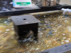 -亚马逊海鲜自助(梅溪湖步步高店)