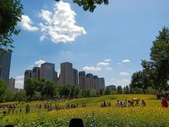 -长白岛森林公园