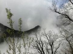-神农架景区