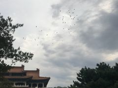 -玉佛苑
