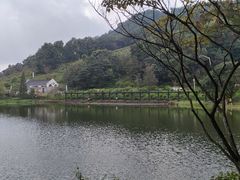-广州市石门国家森林公园