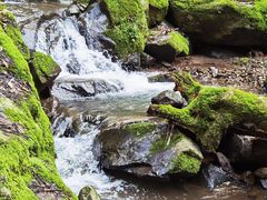 -藏龙百瀑风景区
