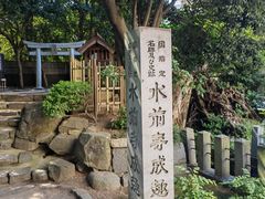 -水前寺成趣园