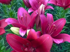 -长春公园(普阳街道)