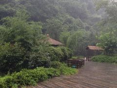 iphone_upload_pic-溪口-滕头旅游景区