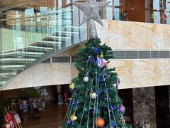 -视界美食自助餐厅·石家庄希尔顿酒店