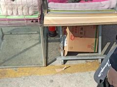 -中环花鸟鱼虫市场