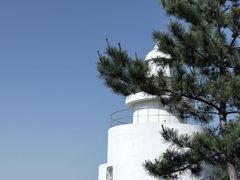 -棒棰岛宾馆景区