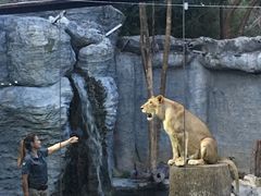 -清迈夜间动物园