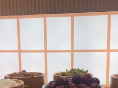 -龍歌自助小火锅(李沧丽达店)