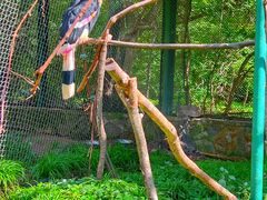 -哈尔滨北方森林动物园