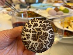 -重庆长寿碧桂园凤悦凤凰酒店