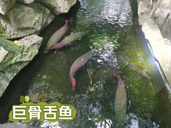 -青青世界