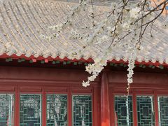 -护国法轮寺