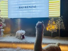 -白仁仔· 活烤海鲜 宵夜(豫园店)