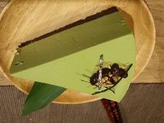 抹茶慕斯-柴务处·柴犬主题狗咖