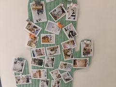 -猫域·湾主题猫咖·宠物吧(南坪城市广场店)